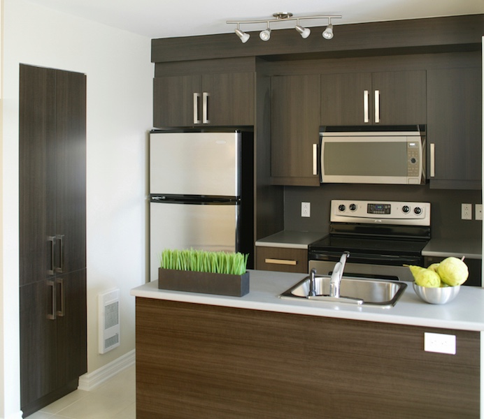 Modern kitchen in a residential home